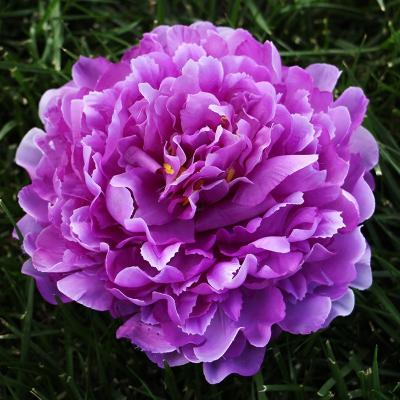 China SYB72606 Wedding Decoration Supplier DIY Realistic Artificial Flower Wall Simulation And Flower Head Blush Realistic Fake Peony Roses Heads for sale