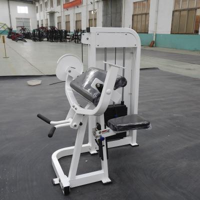 China JX607 PLD Commercial Use Fitness Equipment Biceps Curl Excersice Strength Gym Machine for sale