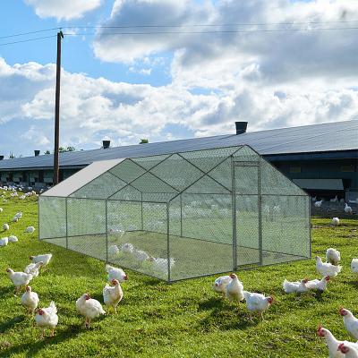 China Viable Hot Sale 12M X 3MX2M Metal Chicken Run Cage for sale