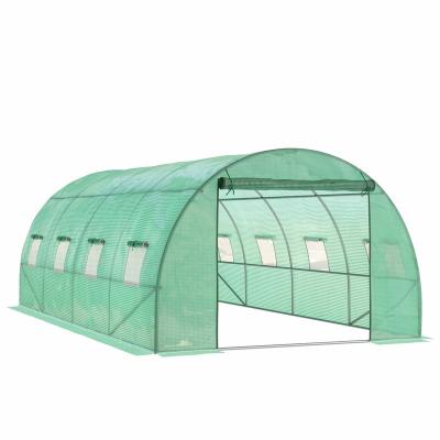 China Easily Assembled Outdoor Agricultural Garden Tunnel Greenhouse for sale