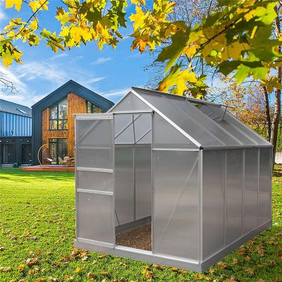 China Easily Assembled Green Backyard Greenhouse House Grow Tent Outdoor Garden Plant Growing Warm House for sale