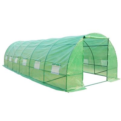 China Easily Assembled Garden Polytunnel Tunnel Greenhouse Plant Growing Warm House Tent Growing House for sale