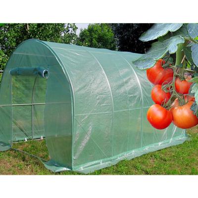 China Garden Tomato Green House Greenhouse Grow Tent Tunnel Walk-in Outdoor Plant Growing Warm House for sale