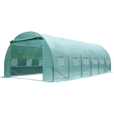 China Polytunnel Tunnel Greenhouse Green House Tent Tunnel Outdoor Easily Assembled Outdoor Walk-in Garden Plant Growing Warm House for sale