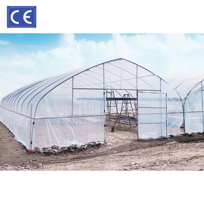 China Large scale agricultureral greenhouse 20m 50m 30m agriculture farm for sale