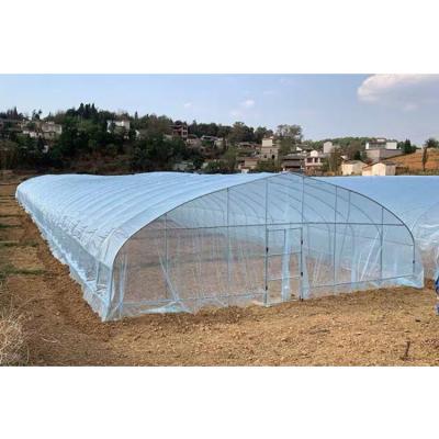 China Large Scale Agricultural Warm House Greenhouse Tent Greenhouse Farm Growing Green Tunnel House for sale