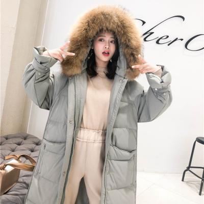 China Long Real Sustainable Warm Down Coat Hooded Jacket For Women Winter Down Coat for sale