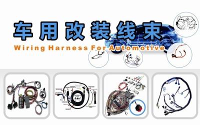 China Automotive  Wiring Harness for sale