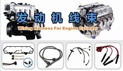 China Edgar Wiring Harness For Engine Cylinder for sale