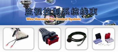 China WireHarness For Control System for sale