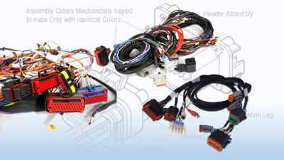 China Automotive wiring harness for home appliances - ECU Control Harness zu verkaufen