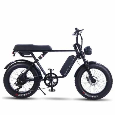 China Standard Chinese Factory Customized Fat Tire Fat Tire City Cycle Scooters Full Suspension Other E Bike 750W Mountain Electric Bicycle for sale