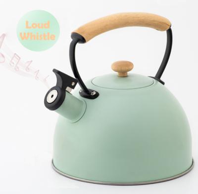 China New Arrival 304 Stainless Steel Water Kettle Viable Whistling Electric Kettle For Home Kitchen for sale