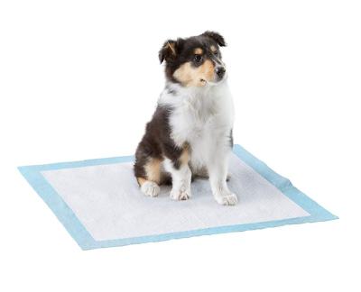 China Amazon Success Pet Viable Puppy Super Absorbent Pads Biodegradable Pee UrinePet Dog Pads Training Pad for sale