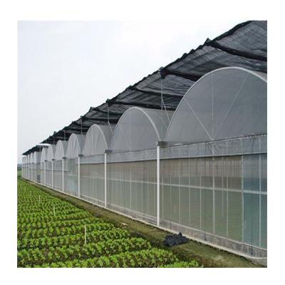 China Galvanized Multi Span Tunnel Greenhouse Design Multi Span House Agriculture Polytunnel Galvanized Greenhouse For Sale for sale