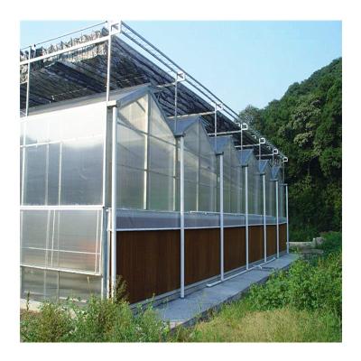 China Galvanized Polycarbonate Vegetable Multi-span Greenhouse Agricultural Greenhouses for sale