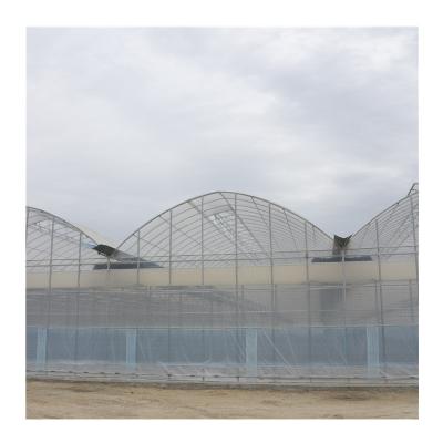 China Galvanized Chamber Plastic Film Multi-span Greenhouse Used For Agriculture Factory for sale