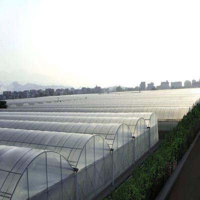 China Used House Hot Sale Galvanized Greenhouse Agricultural Poland Greenhouse For Sale for sale