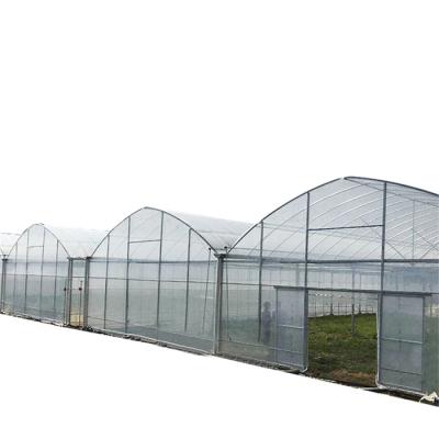 China Galvanized Vegetable Chamber Greenhouse Manufacturer Plastic Sheet Greenhouse for sale