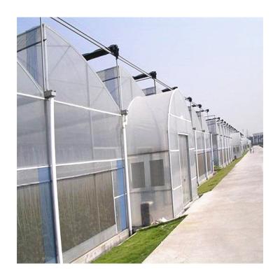 China Galvanized Chamber Customized Multi Span Greenhouse Manufacturer Greenhouse Price for sale