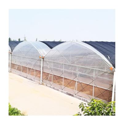 China Galvanized Chamber Tomato Film Greenhouse Structure Used Green House Greenhouse for sale