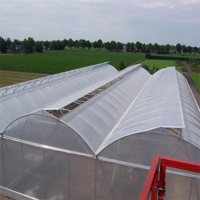 China Galvanized Chamber Sawtooth Shade Greenhouse Hydroponic Greenhouse For Sale for sale