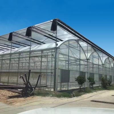 China Galvanized Chamber Gutter Connected To Grow House Greenhouse Used Greenhouse Structure for sale