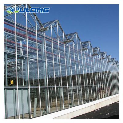 China Galvanized Chamber Israel Galvanized Steel Frame Greenhouse Fiberglass Greenhouse for sale