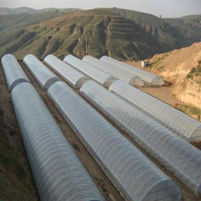 China Low Cost Waterproof Single-Span Agricultural Tunnel Greenhouses for sale