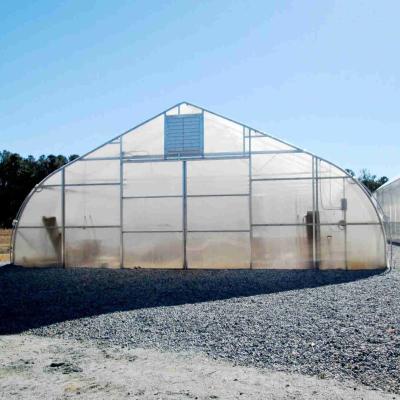 China Low cost waterproof greenhouse geodesic dome small plastic greenhouses for sale for sale