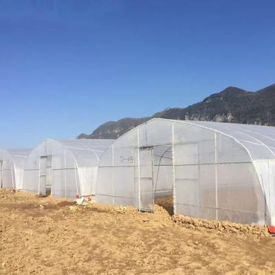 China New Waterproof Agricultural Commercial Tunnel Hydroponics Greenhouses Frames for sale