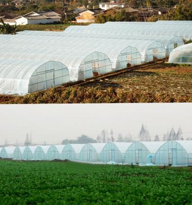 China Commercial Greenhouses Waterproof Agriculture Tunnel Frames For Sale Single-span Green House Greenhouses for sale