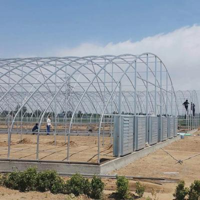 China Waterproof Hot Sale Hydroponic System Growing Tomatoes Tunnel Green Home For Sale for sale