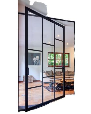 China Modern Pivot Door Steel Door For Home TS-011 for sale