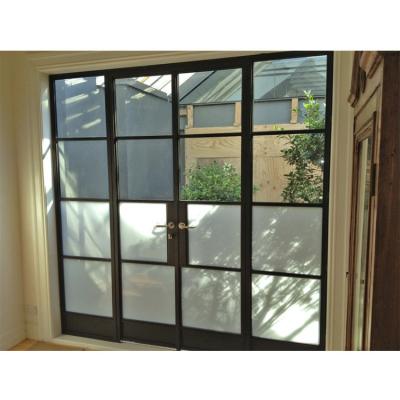 China New Style Modern Steel Door Design Double Iron Doors TS-060 for sale