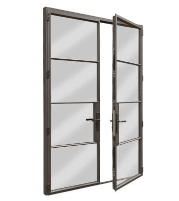 China Europe Style Modern Custom Interior French Door Glass Door Steel - SS-008 for sale