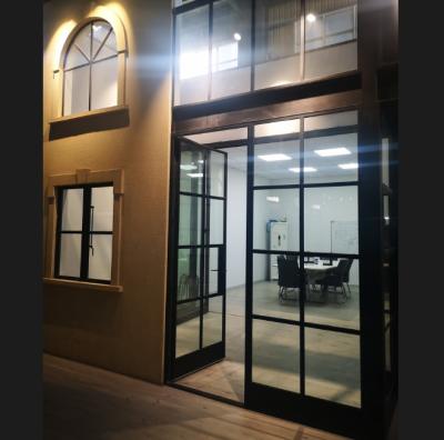 China Modern Design Double Glass French Slim Steel Doors And Windows-SS-013 for sale