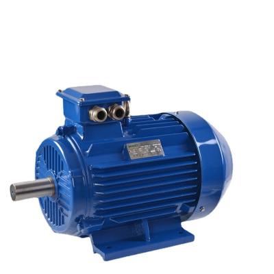 China Totally Enclosed Three Phase Induction 3 Phase Brushless Y2 Series AC Three Phase Electric Motor for sale