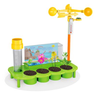 China DIY Kids Survive Ratio Planting Science Intellectual Toys Set TO PUT BACK Educational Toys For Kids Science Experiment Gift 21*6*24.5 cm for sale