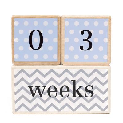 China Europe TaiLai Baby Shower Gift Set Blue Milestone Age Blocks Babies Age Photo Blocks Perfect Gift and Keepsake for sale