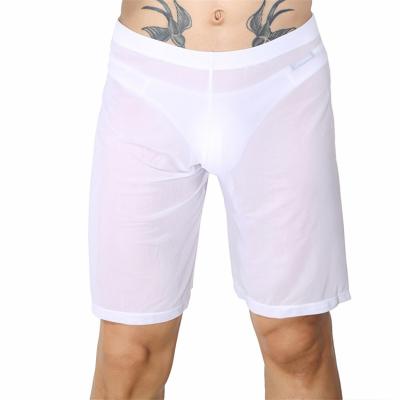 China All Seasons Boxer Mens Underwear Mesh Sleep Bottoms Pajama Men Transparent Panties Long Leg Sexy Briefs Shorts Boxershorts for sale