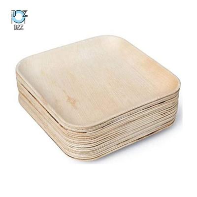 China Disposable Tableware Disposable Plates Bamboo Wooden Palm Leaf Type Paper Plates for sale