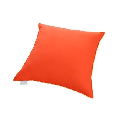 China Hot Sale Bedroom Air Memory Cushion Finish Soft Peach Skin Fabric Luxury Cushion for sale