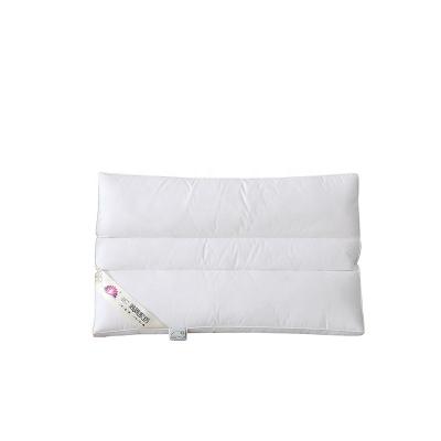 China Wholesale Five Star Quilted Memory Hilton Pillow 1000g Luxurious Sleep Down Hotel Hilton Alternative Pillow for sale