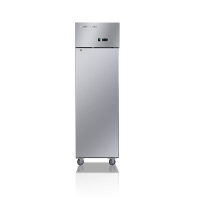 China Hot Sale 1 Door Single-temperature Vertical Refrigerator Refrigerator Commercial Kitchen Refrigerator for sale