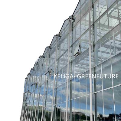 China Stable Structure Easily Assembled Commercial Glass Greenhouse for sale