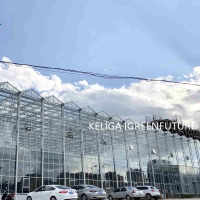 China Stable Structure Easily Assembled Professional Nursery Venlo Seedling Glass Greenhouse Shandong Greenhouse Supplies With Complete Systems for sale