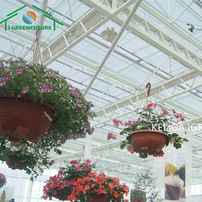 China Flower Vegetable Strawberry Fruit Clear Transparent Glass Greenhouse For Commercial Pink Glass Greenhouse For Sale for sale