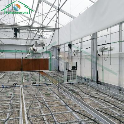 China High quality smart medical plant growth greenhouse with blackout system greenhouse for sale for sale