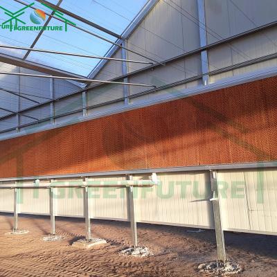 China Plant Growth Deprivation 100% Light Greenhouse Blackout Tunnel Greenhouse Film Greenhouse Single Span Or Multi Span Heating System for sale